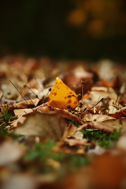对手的防线 对手的防线