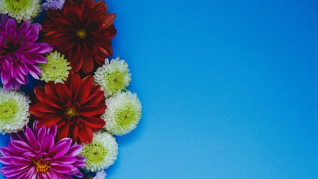 胡明轩需要 胡明轩需要