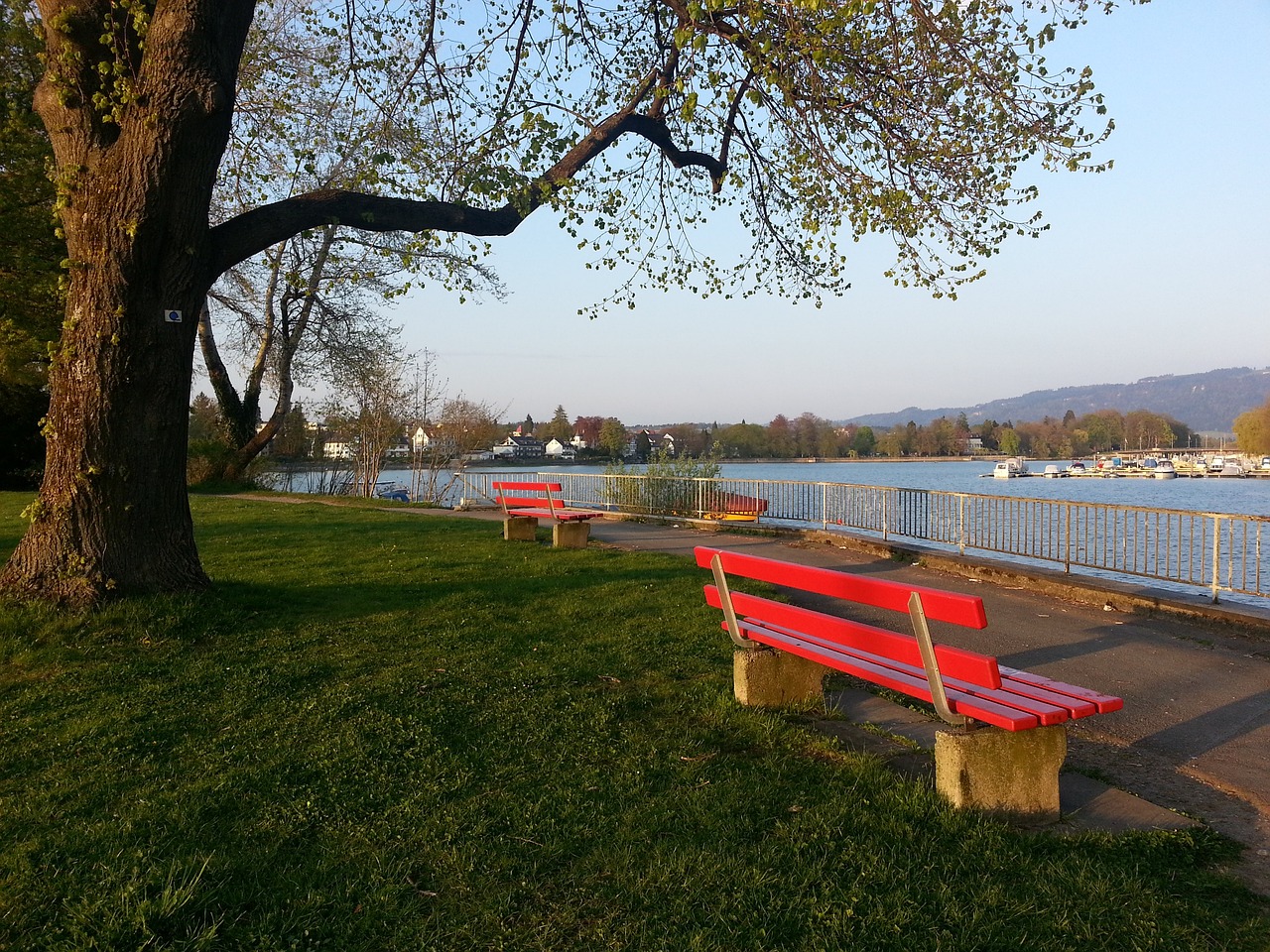 理层面给予 理层面给予