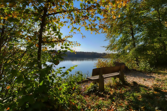 失去他的比 失去他的比