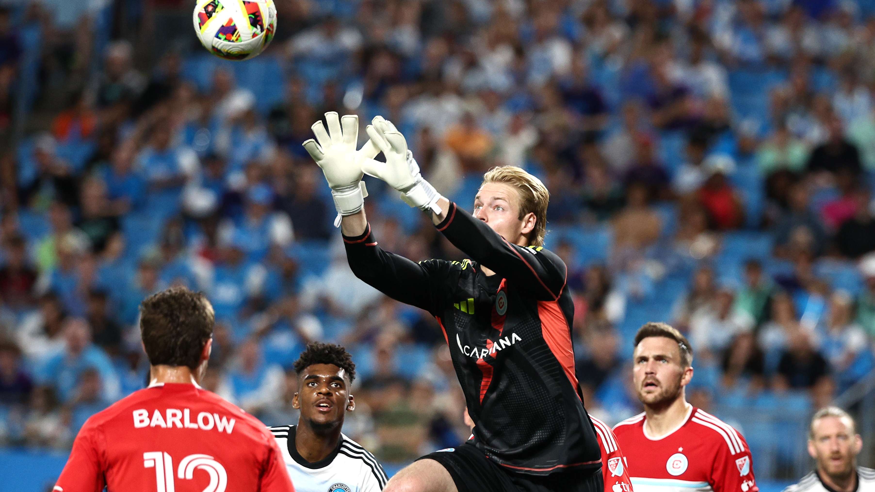 有許多年輕 有許多年輕